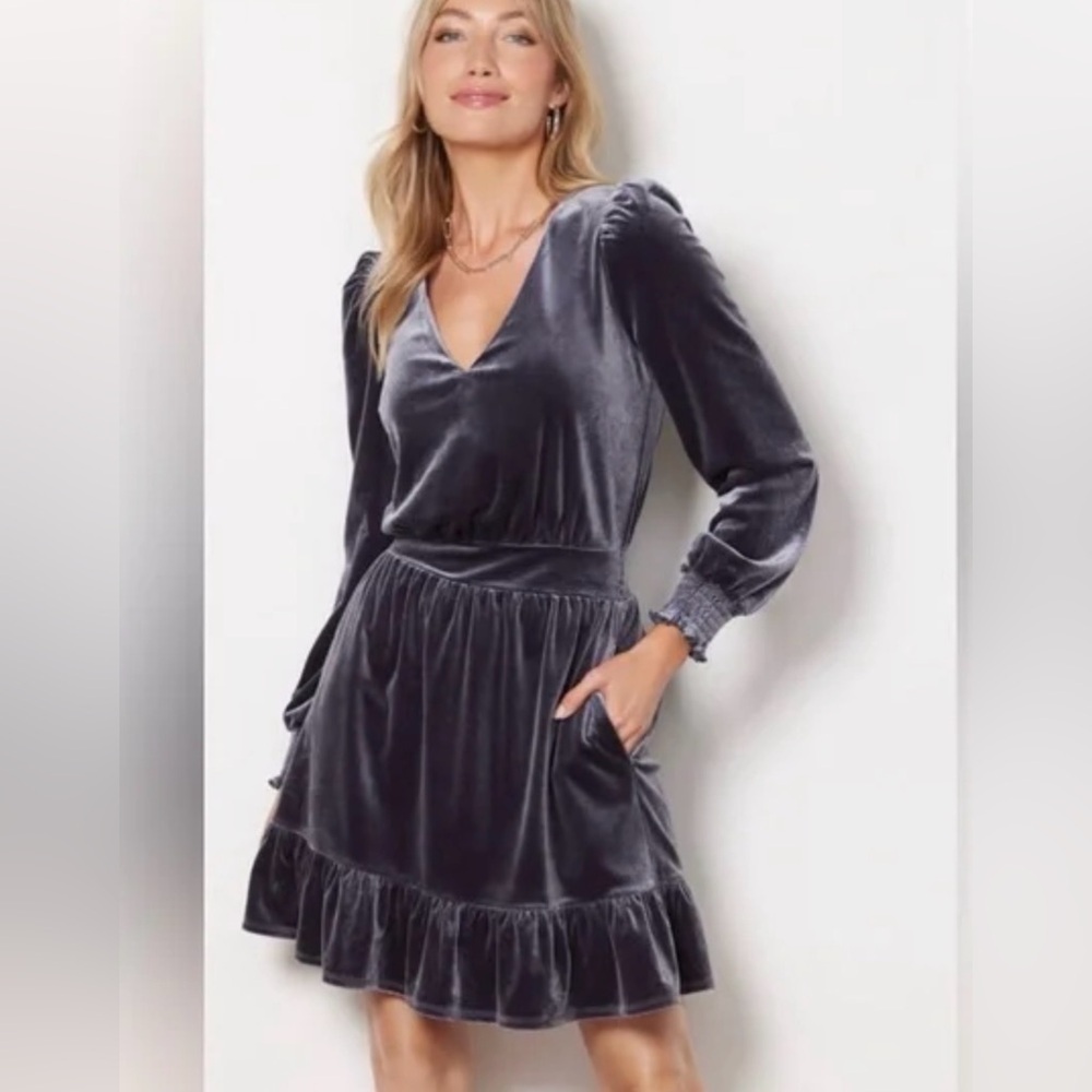 Evereve Fiona Blue Gray Long Sleeve Velvet Dress Medium